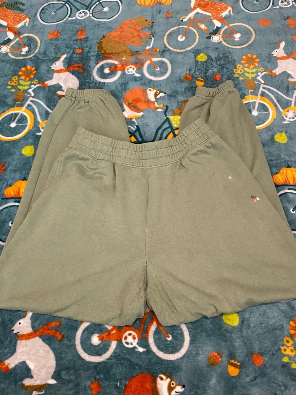 Women’s American Eagle Sage Green Sweatpants w/ Embroidered Flowers